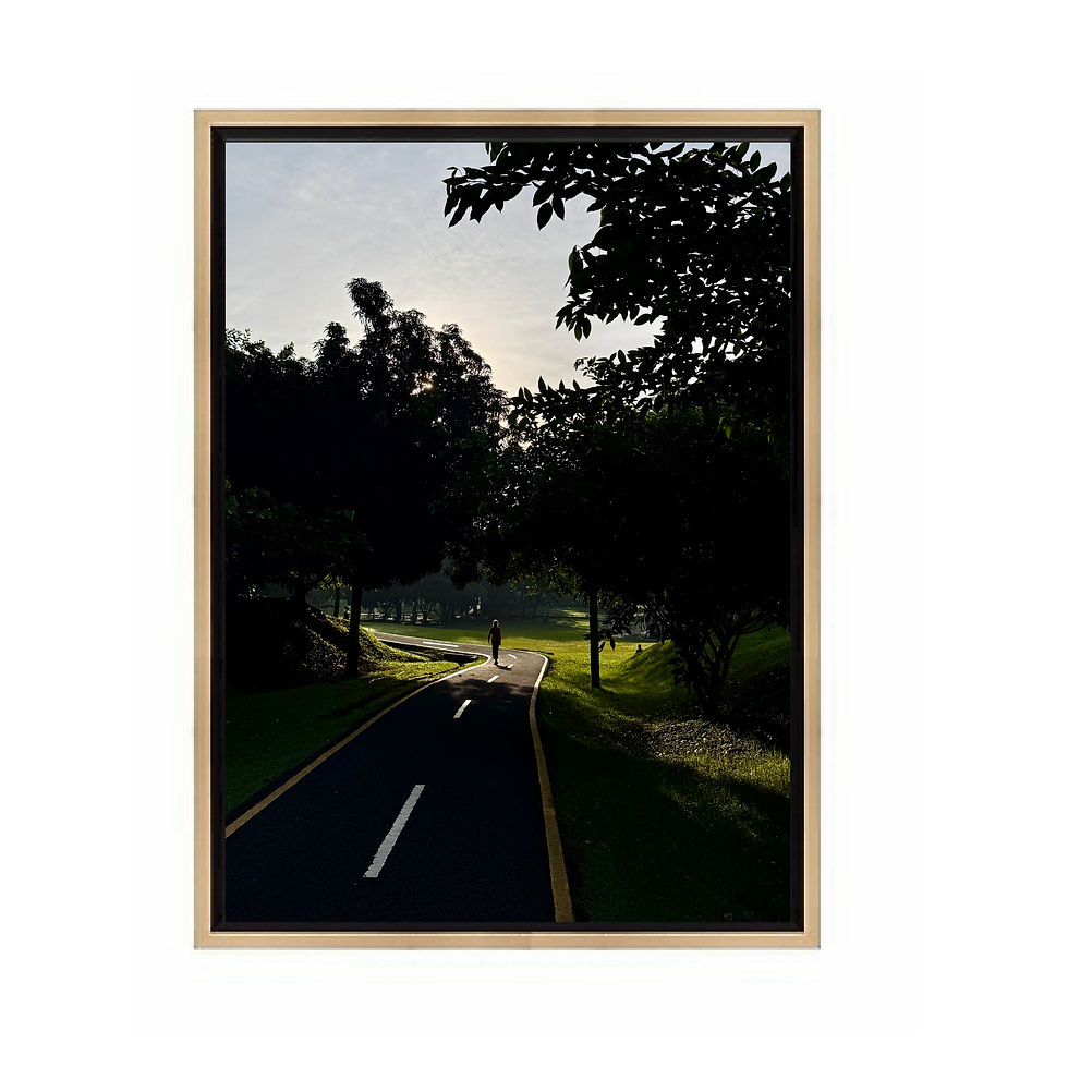 Miniatura: Camino en el parque