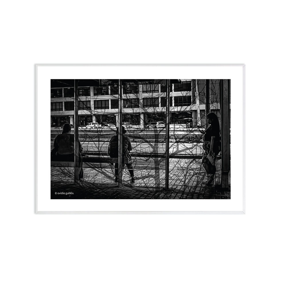 Miniatura: Fotografia / Ovidio Guillen