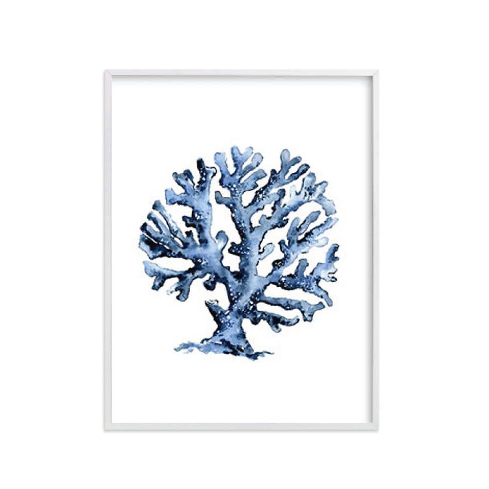 Miniatura: Coral Print
