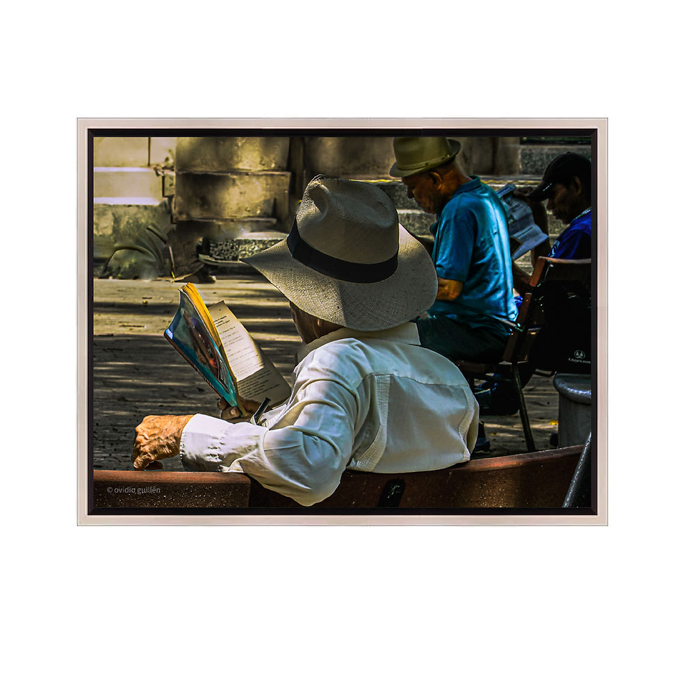 Miniatura: Fotografia / Ovidio Guillen