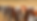 shutterstock_113396611.png