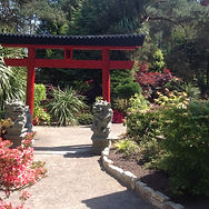 Japanese Garden.jpg