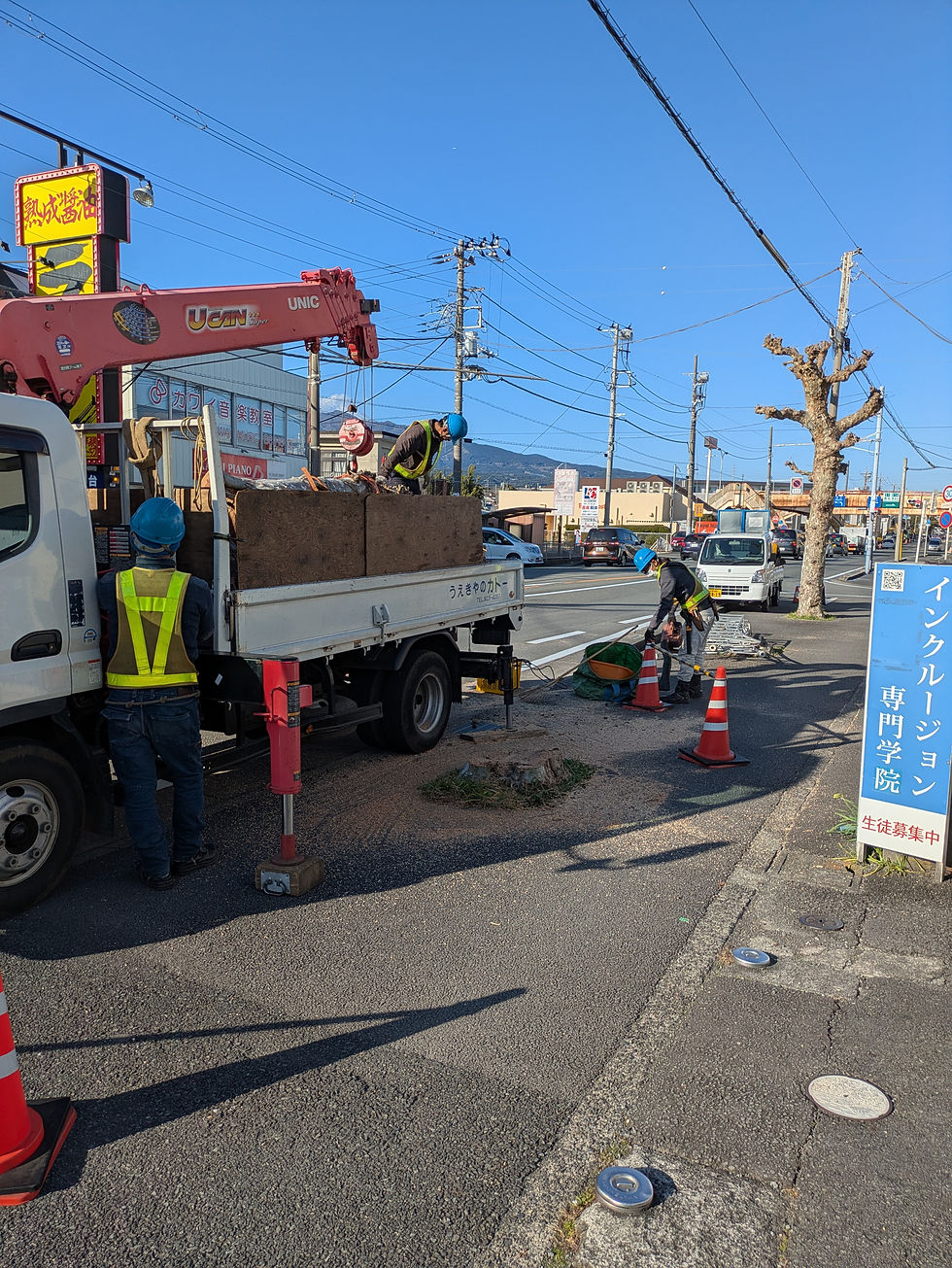 積載が終わり、伐採後はこのようになりました。少しさみしいです。