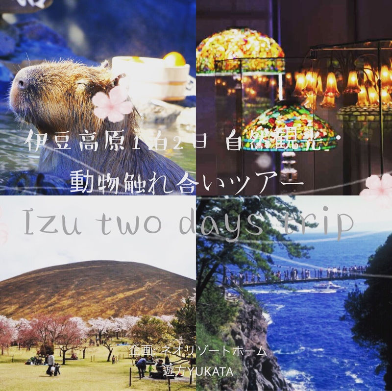 伊豆のテーマパーク巡り 宿泊別荘貸切レンタル 伊豆半島伊東伊豆高原 おすすめ 海一望 伊豆ネオリゾートホーム 遊方yukata