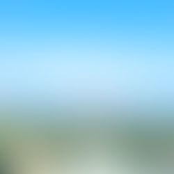 『夏休みの思い出作りに!1泊2日伊豆家族旅行』(伊豆半島のおすすめのアクティビティ・旅行プラン編)