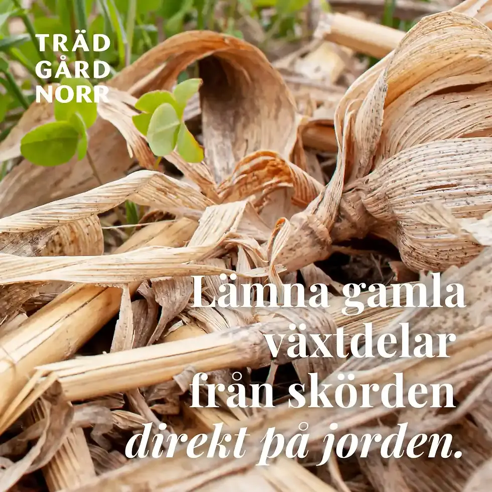 Täckodling: Fördelar och metoder för trädgårdsodling