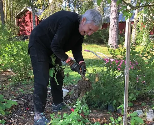NYBÖRJARE PÅ GRÖNSAKER – ett första steg mot att odla ätbart