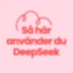 Så här använder du DeepSeek