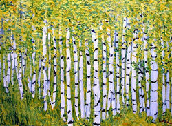 pc 375819_338655389564512_1628204826_n