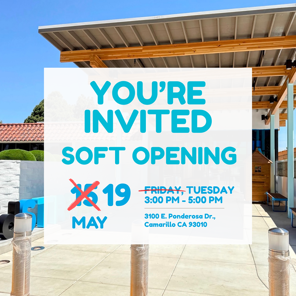 Donors, Founding Friends & Marketing Soft Opening