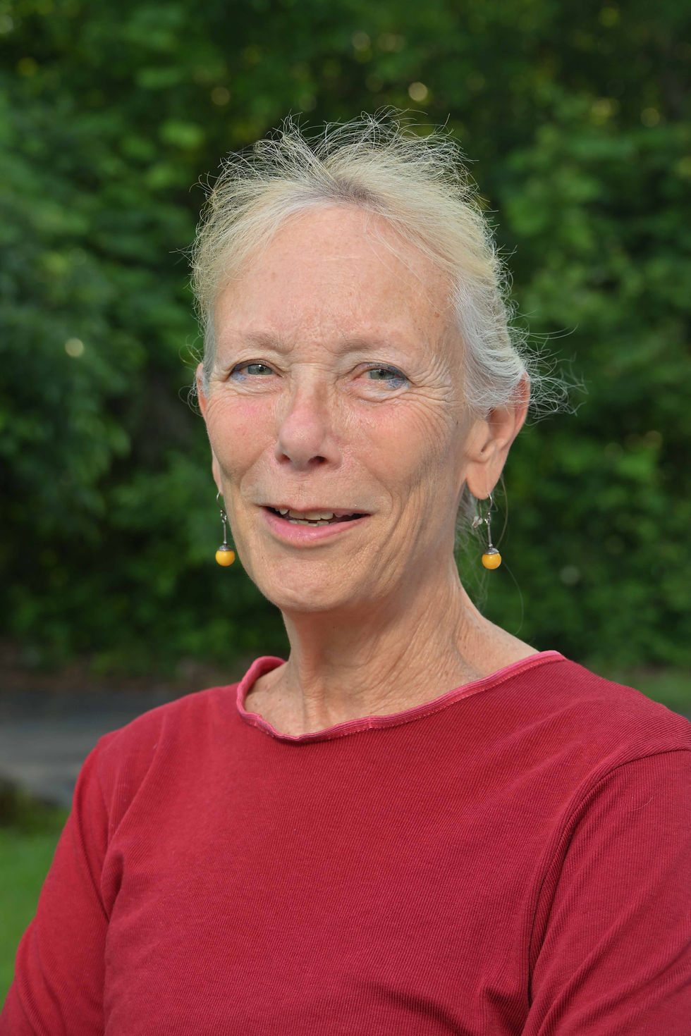North Williams Precinct Chair