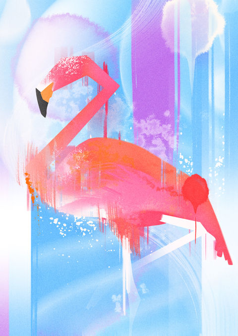 fish swimming nature illustration