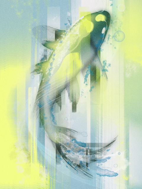 fish swimming nature illustration