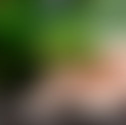 MEI e Isenção de IRPF