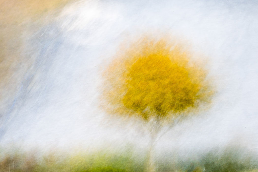 Bildtitel: Herbst, Aufnahmedatum: Oktober 2020, Bildbeschreibung: gestische Fotografie aufgenommen in Bokeloh vor dem Kaliberg © Marlene Lehmkuhl | Fotogruppe LichtGestalten Garbsen