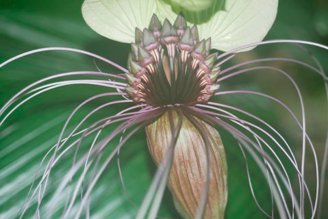 Pastelltöne
August 2021
© Detlef Kohnen | Fotogruppe LichtGestalten Garbsen