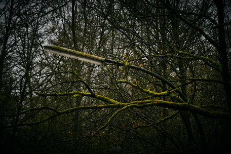 Bildtitel: Überwuchert, Aufnahmedatum: April 2024, Bildbeschreibung: Straßenlampe in Lopau, das Dorf wurde 1983 geräumt und ist seit dem unbewohnt © Jens Köhn | Fotogruppe LichtGestalten Garbsen