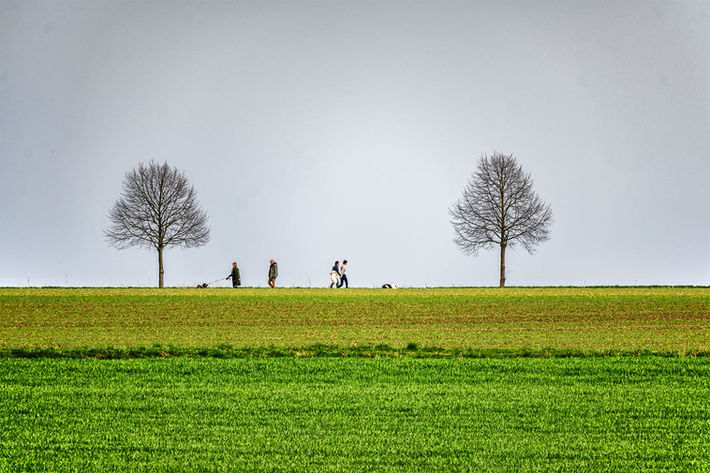 Erwachen der Natur 2, Kronsberg, April 2021 © Dieter Schwandt | Fotogruppe LichtGestalten Garbsen