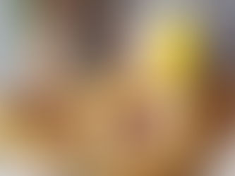 DUMLEKAKOR MED NOBLESSE