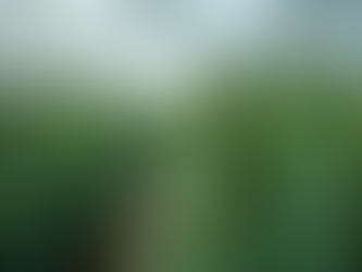 Benefits of Buying Cannabis Directly from Growers