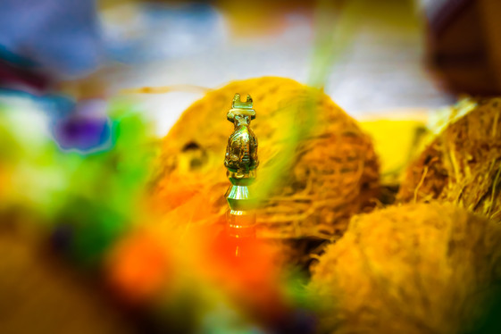 chennai sathabhishekam candid photographers