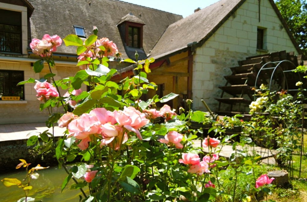 Le Moulin des Foulons — Domaine privatif 25 personnes, piscine couverte & spa, Chédigny (37)
