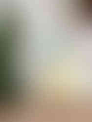 blue Cotton Twill, cropped kimono-sleeve jacket