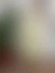 Linen, tiered, long-sleeve dress with pockets