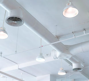 WhatsApp Image 2025-04-03 at 13.38.47.jpeg