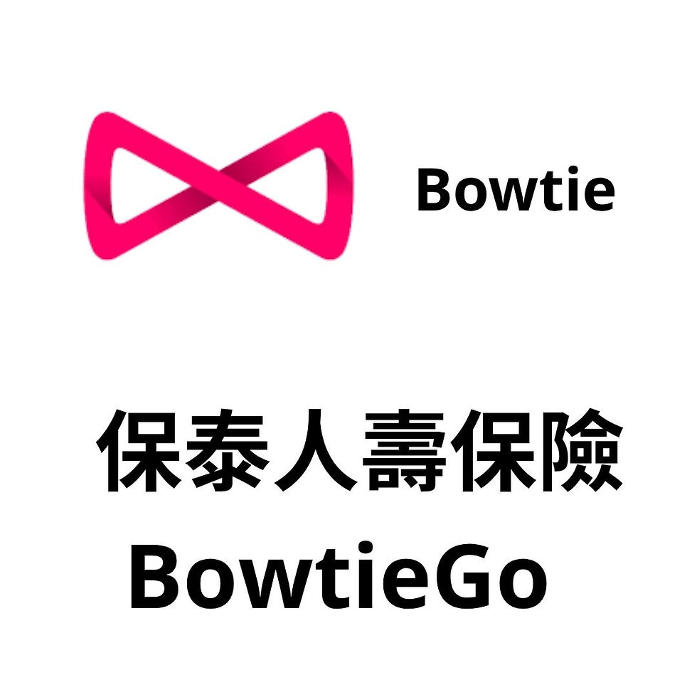 Bowtie 保泰人壽保險 - BowtieGo 