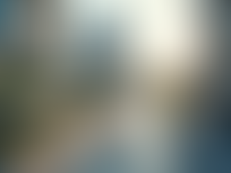 Case Studies on Success in Business Transformation Initiatives