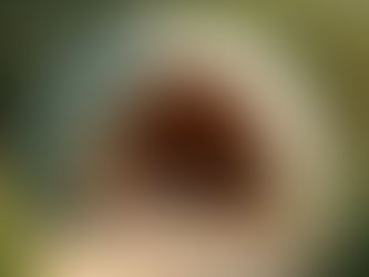 Nature-Inspired Remote Work: Book Your Cocoon Pod