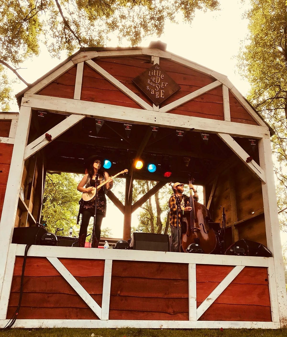 Red Rooster festival, June 2018