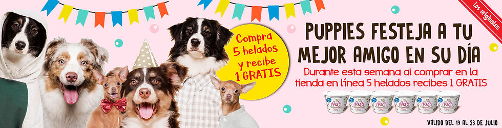 Banner-tienda-dia-del-perro.jpeg