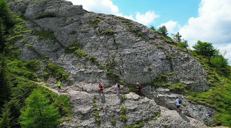 La Lanturi in Muntele Rosu