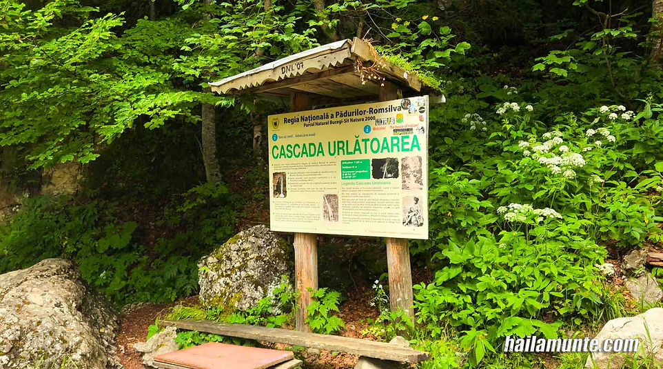 desktop 19 - panou cascada.jpg