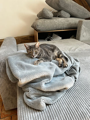 MIA