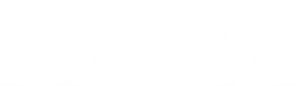 Asset 5.png
