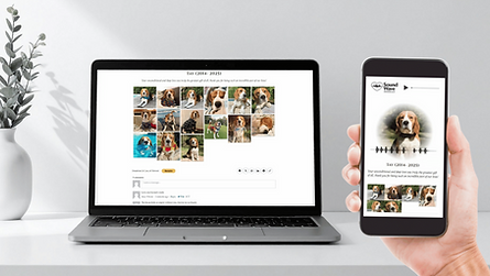 Soundwave pet memorial frame connected to an online memorial website