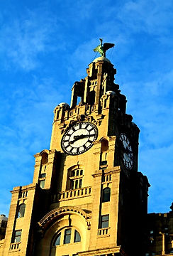 Liver Building.jpg