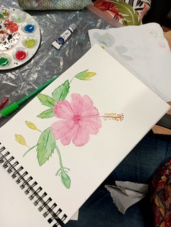 IMG_20230812_120351199_MFNR