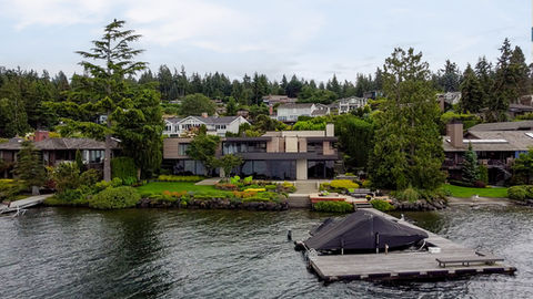 Evergreen on the water