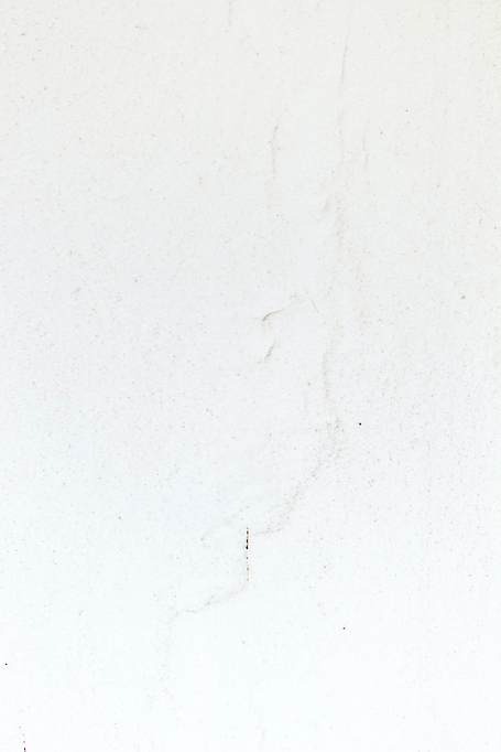 download (1).png