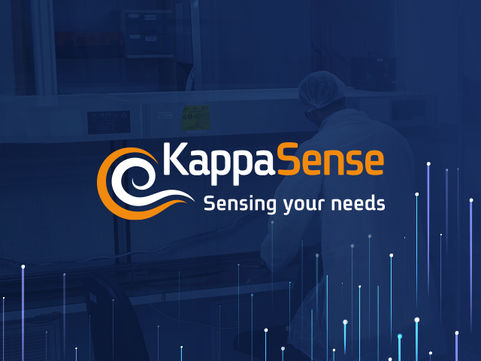 KappaSense | עיצוב אתר