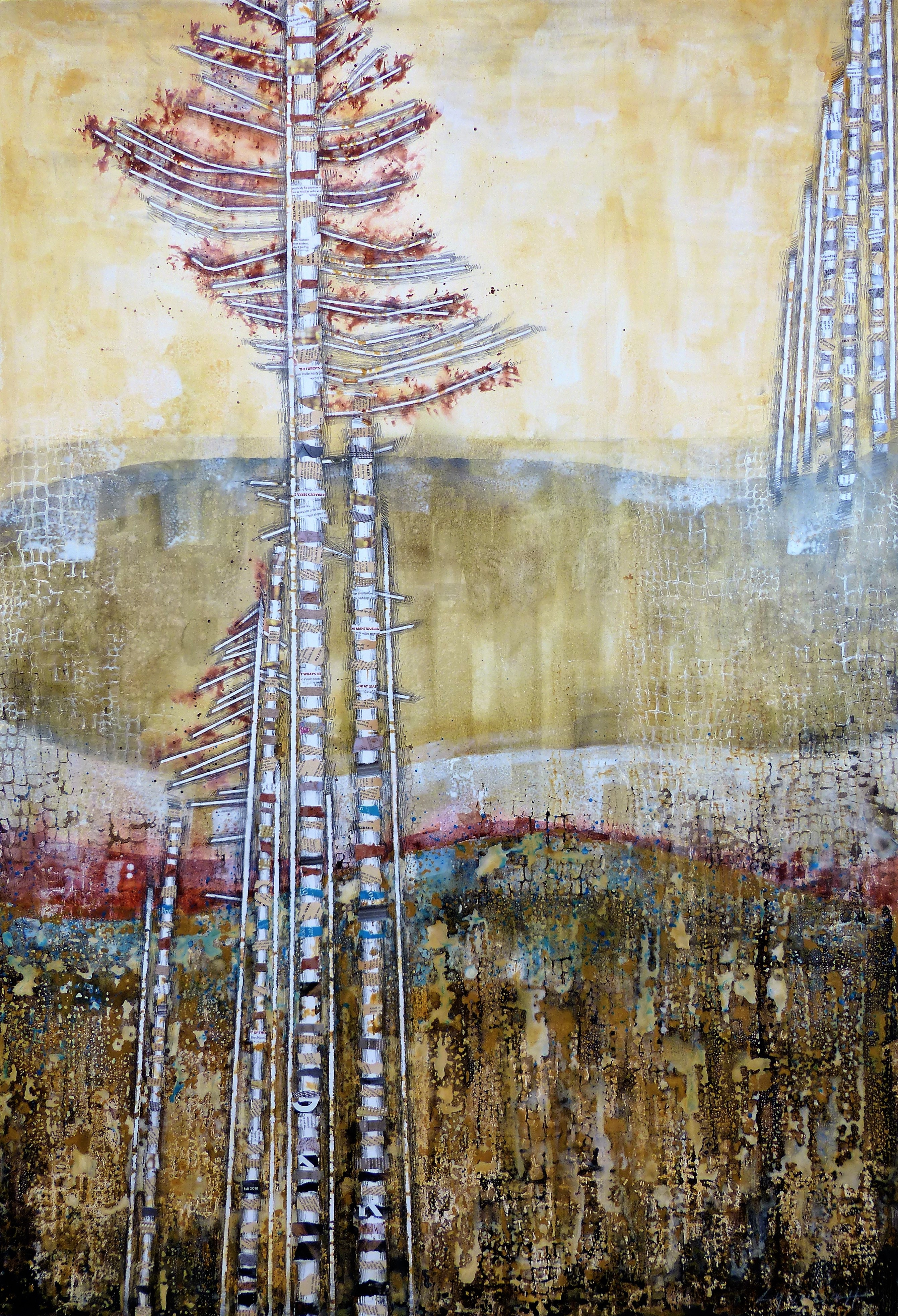 Metamorphic Landscape