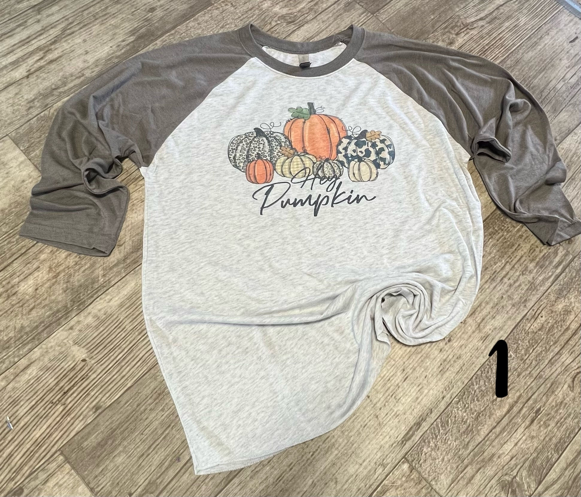 Fall Raglan (plus sizes) (23)