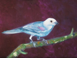 Bluebird