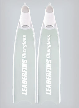 ICE-FINS-20197_edited_edited_edited_edit