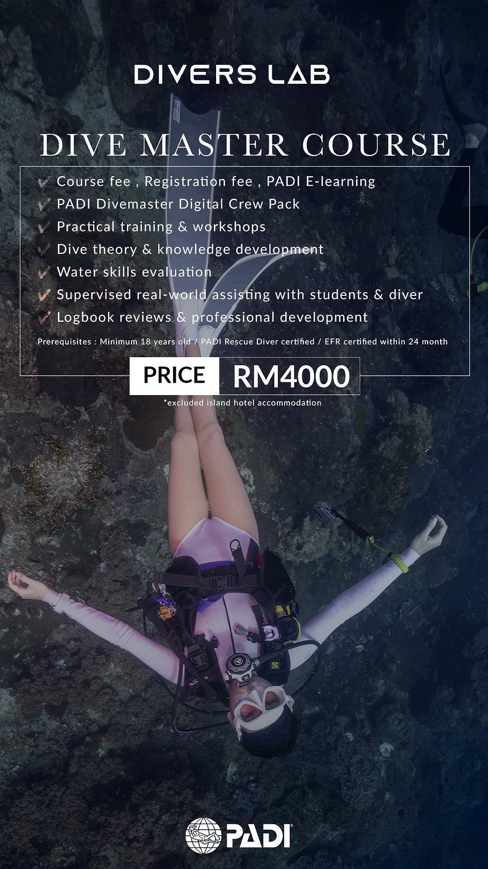 DIVE MASTER