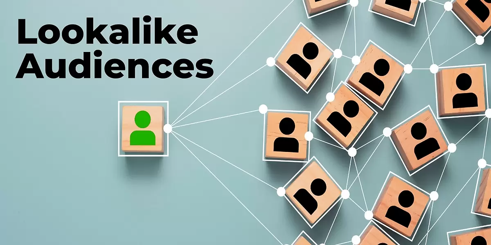 Meta's Look-Alike Targeting Algorithms
